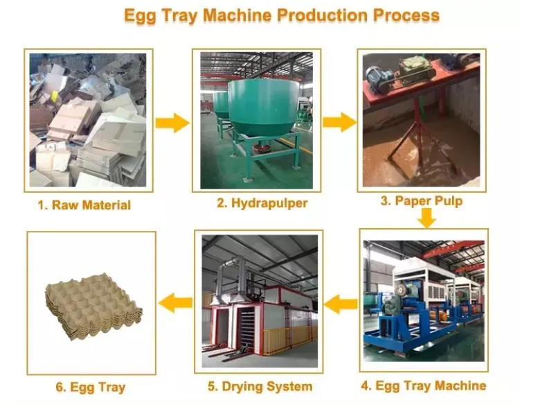 High Quality Paper Pulp Egg Tray Making Machine