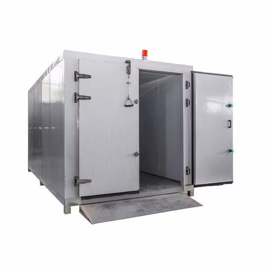 Máquina de secagem de alimentos de aço inoxidável de ar quente da China